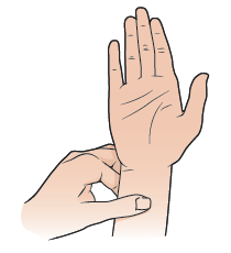 P6 pressure point